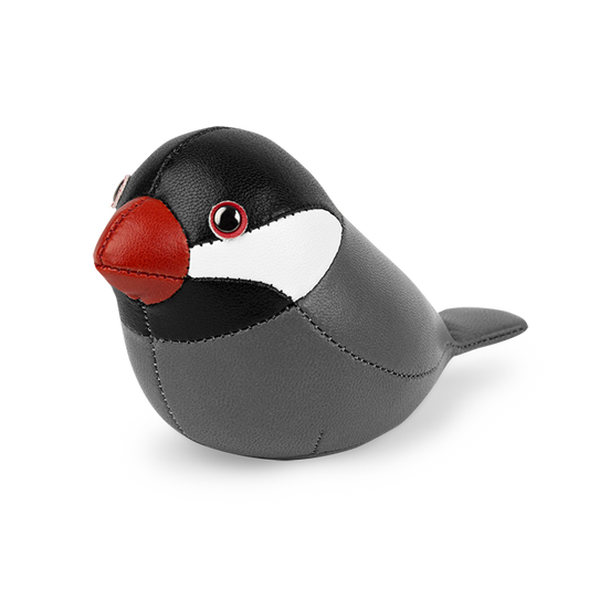 Java Sparrow Paperweight