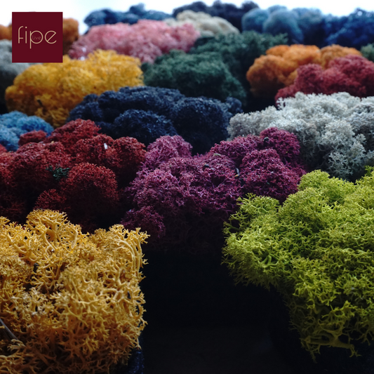 The Pixel Reindeer Moss - It's fun, it's colourful!