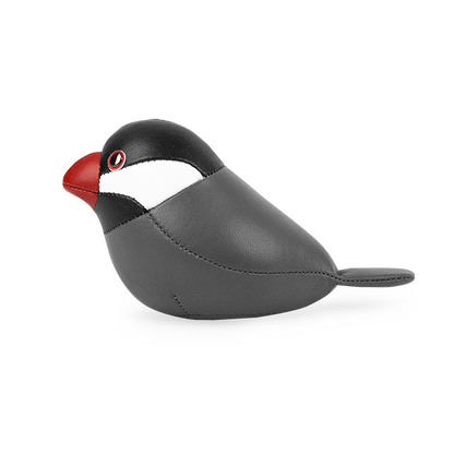 Java Sparrow Paperweight