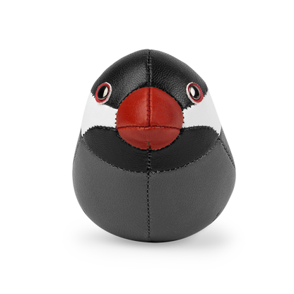 Java Sparrow Paperweight